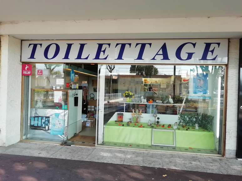 salon de toilettage a montgeron